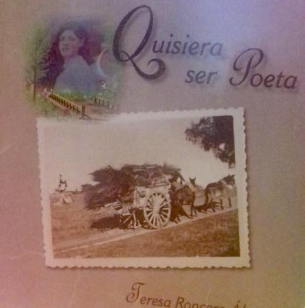 cartel libro quiero ser poeta.jpg