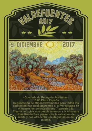 cartel recogida de aceitunas.jpg