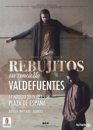 Concierto Los Rebijitos 17.08.19.jpg