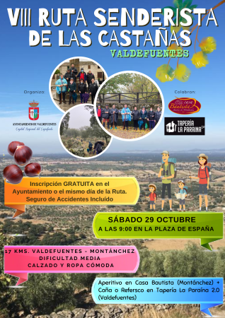 Cartel VIII Ruta Castañas.png