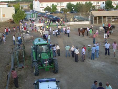 Imagen FIESTAS EN HONOR A SAN AGUSTÍN