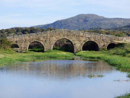 Imagen PUENTE ROMANO SOBRE EL RÍO SALOR