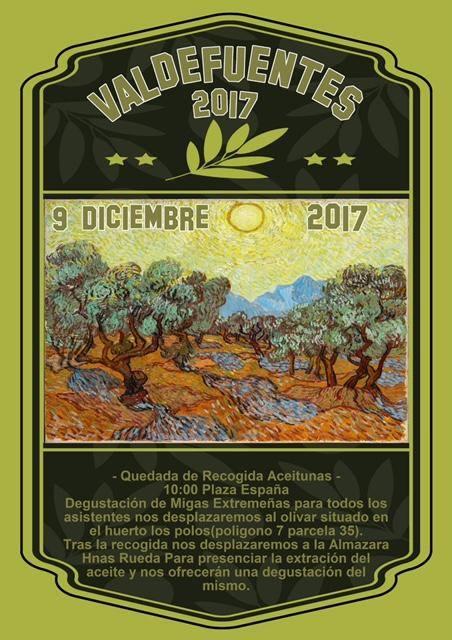 Imagen Quedada de Recogida de Aceitunas