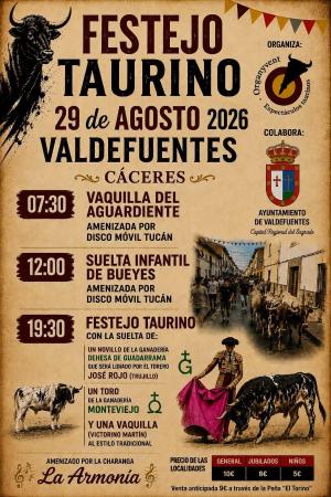 Imagen Festejo Taurino